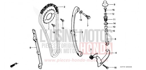 CAM CHAIN/TENSIONER XL125SC de 1982